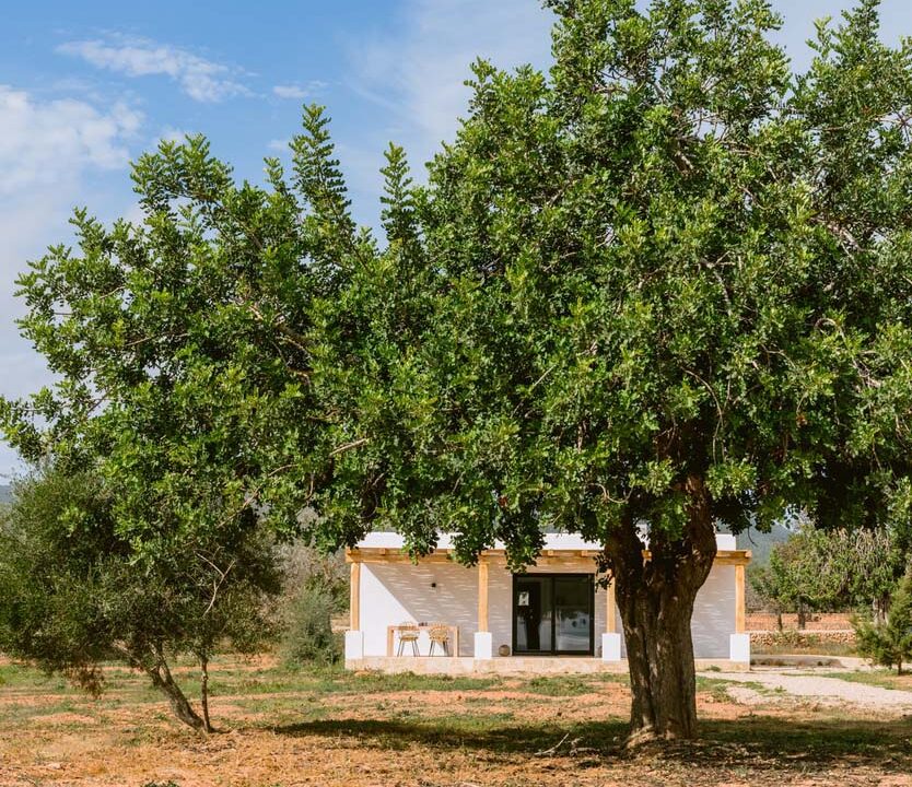 Villas For Sale Ibiza - Villa Bohemia