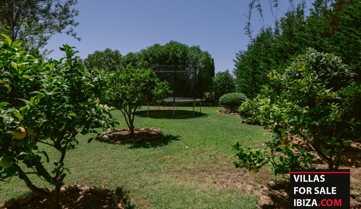 Villas For Sale Ibiza - Villa Idyllic 36