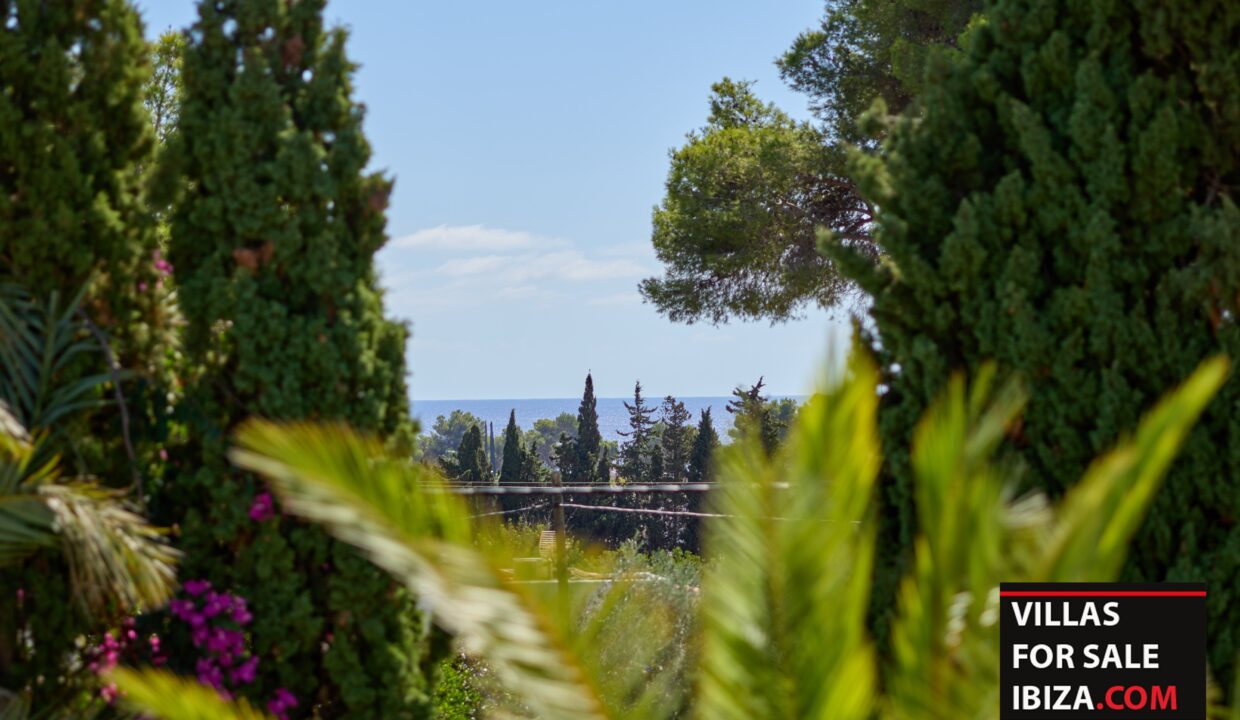 Villas For Sale Ibiza - Villa Palms Garden Santa Eulalia 18