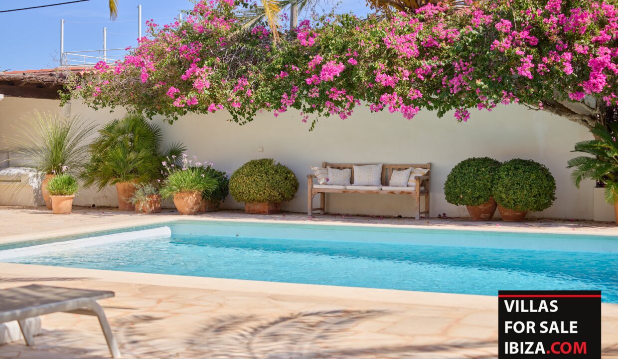 Villas For Sale Ibiza - Villa Palms Garden Santa Eulalia 5