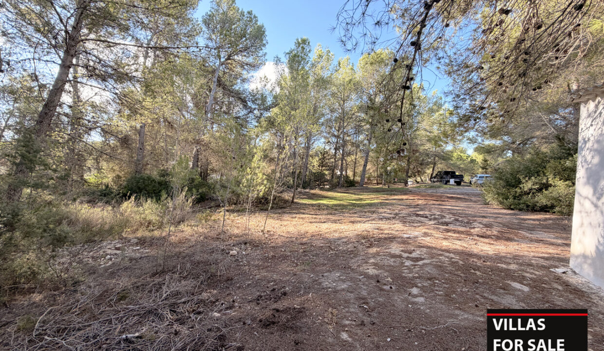 Villas For Sale Ibiza - Villa Snug Santa Gertrudis 21
